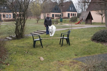 Coralie beim Aportieren &uuml;ber die H&uuml;rde